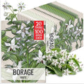 Seed Needs White Borage Seeds to Plant an Herb Garden - 20 Packs by SeedNeeds