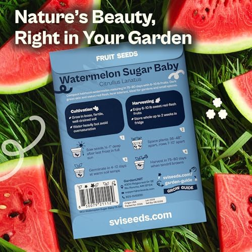 SVI 75 Sugar Baby Watermelon Seeds for Planting (Citrullus lanatus) – Sweet Watermelon, Heirloom Mini Watermelons – Fruit Seeds to Plant in Outdoor Garden & Large Containers - Image 2