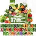 Groundio 40,000+ Heirloom Seeds Kit, 37 Vegetable Seeds Individual Pack - Non GMO for Planting Vegetables, Fruit and Herbs, Outdoor Garden Seeds for Indoor & Outdoor Garden Planting by Groundio