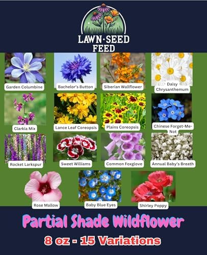 Partial Shade Wildflower Mix Seed (8oz) – Shade-Loving Wildflowers that Produce Vibrant Blooms in Low-Light Areas and Dappled Sun. Perfect for Yards, Garden beds, Fence Lines, and Woodland Edges. - Image 2