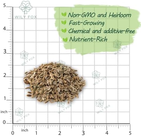 Dill Seeds for Planting, Anethum graveolens, Heirloom Non-GMO Dill Weed Herb Seeds, High Germination Aromatic Annual Culinary Herb for Garden Beds Containers Pickling and Kitchen Gardens, 1500 Count - Image 3