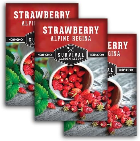 Alpine Regina Everbearing Wild Strawberry Seeds for Planting - 3 Packs by SurvivalGardenSeeds