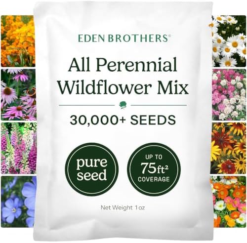 Eden Brothers All Perennial Wildflower Mixed Seeds for Planting, 1 oz, Seeds with Lupine, Shasta Daisy | Attracts Pollinators, Plant in Spring or Fall, for Zones 3, 4, 5, 6, 7, 8, 9, 10 by EdenBrothers