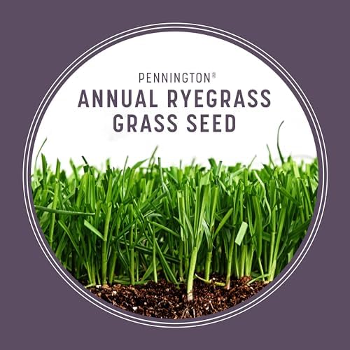 Pennington Annual Ryegrass, Grass Seeds for Lawn, 10 Lb - Image 4