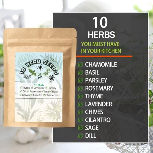 Heirloom10 Herb Seeds Kit - Image 3