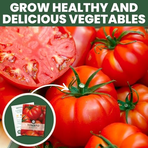 Beefsteak Tomato Seeds – Over 400 Premium Heirloom Seeds for Planting for the 2026 Season – Juicy, Flavor-Rich Garden Favorite – 1 Gram Pouch - Image 7