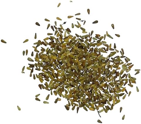 Seed Needs Valerian Seeds to Plant an Herb Garden - 1 Pack - Image 6