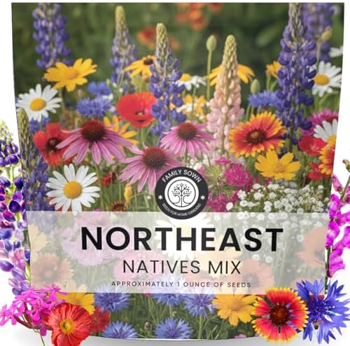 Northeast Natives Mix – 16,000 Seeds for Planting – 2026 Season – 1 Ounce Pouch by FamilySown