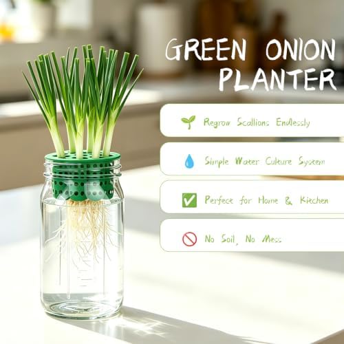 Seed Sprouting Kit & Green Onion Regrower, 2×32 Oz Wide-Mouth Mason Jars, Sprouter Lids, Stainless Steel Stand, Sprout Tray & Light Shield, Ideal for Sprouts, Broccoli, Alfalfa & Microgreens - Image 3