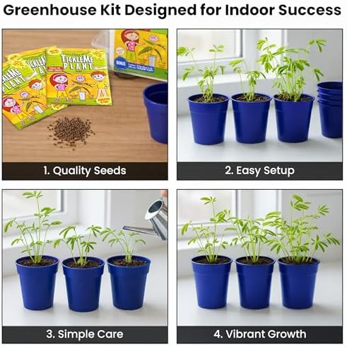 Deluxe Family Greenhouse Kit - Grow the Playful Plant that Closes Its Leaves When Tickled! Includes Mini Greenhouse, 3 Seed Packets, Soil Pellets & Pots - Fun Indoor Gardening Gift - Image 3