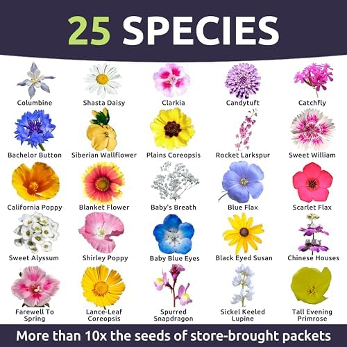 Pacific Northwest Regional Mix - Large 1 Ounce Packet - 24,000 Flower Seeds for Planting - Wildflower Mix - Image 3