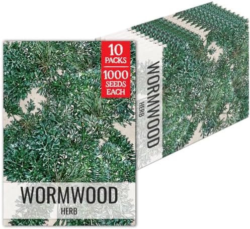 Seed Needs Wormwood Seeds to Plant an Herb Garden - 10 Packs by SeedNeeds