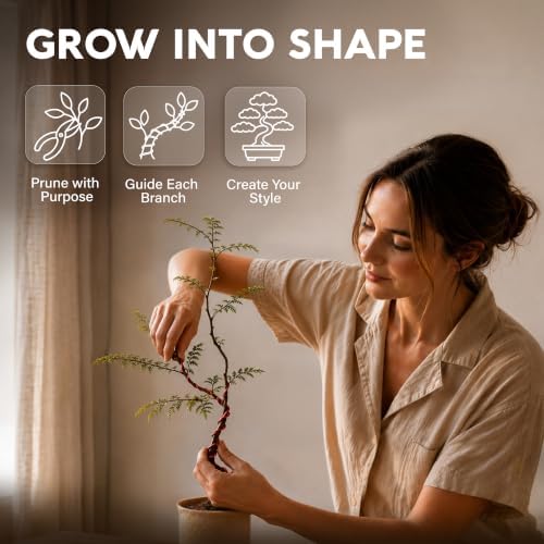 Bonsai Tree Kit Classic - Growing 5 Unique Japanese Bonzai Trees - Image 6