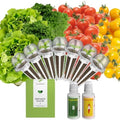 inbloom Organic Salad Green Seed Pod Kit for AeroGarden, Ahopegarden Hydroponics Growing System, Low-Calorie Food, 7-Pods (350+ Seeds, Include Fast and Butter Lettuce, Red and Golden Cherry Tomato) by inbloomgarden