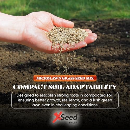 X-Seed Microlawn Grass Seed & Microclover Mix – Dense Self Feeding Lawn, Sun & Shade, Crowds Out Weeds, High Traffic, Drought-Resistant, 5 lb Bag - Image 5