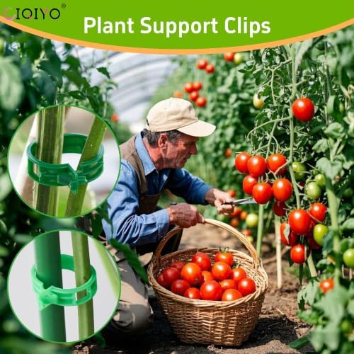 Plant Support Clips,Plastic Clips for Securing Plants,Tomato Vine Clips,Plant Fixing Clips,Garden Clips for Climbing Plants,Grape and Vine Vegetables (100, Light Green) - Image 7