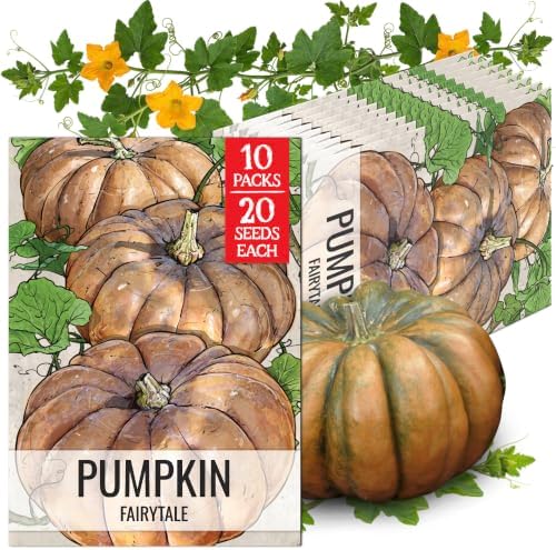 Seed Needs Fairytale Pumpkin Seeds to Plant Vegetables - 10 Packs by SeedNeeds