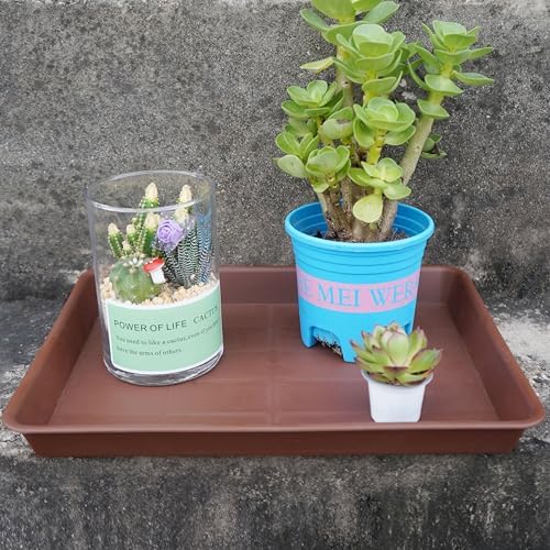 VUWEZ Plant Growing Trays 4 Pack, Plant Tray, 14.5"x11", Heavy Sturdy Plastic Plant Saucer Seed Trays, Seedling Starter Tray, Plant Drip Trays for Indoors, Seed Starter Growing Tray (Chocolate) - Image 7