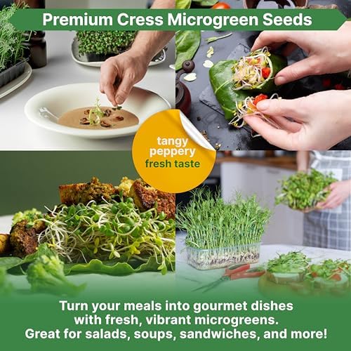 Organo Republic Cress Sprouting & Microgreens Seed - 360,000 Non-GMO Heirloom Seeds, Sprouts in Bulk 1lb Resealable Bag for Planting & Growing Microgreens in Soil, Coconut Coir, Aeroponic & Hydroponic - Image 5