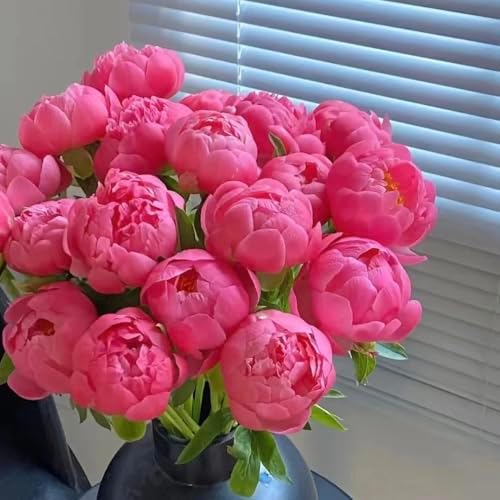 100pcs Peony Lactiflora Seeds for Cut Flower Farming - Long Stem Variety, Commercial-Grade Blooms, High Yield Perennial for Florist Supply - Image 3