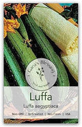 Gaea's Blessing Seeds - Gourd Seeds - Luffa Gourd Seeds - Heirloom Non-GMO Seeds with Easy to Follow Planting Instructions (Luffa Gourd) by GaeasBlessing