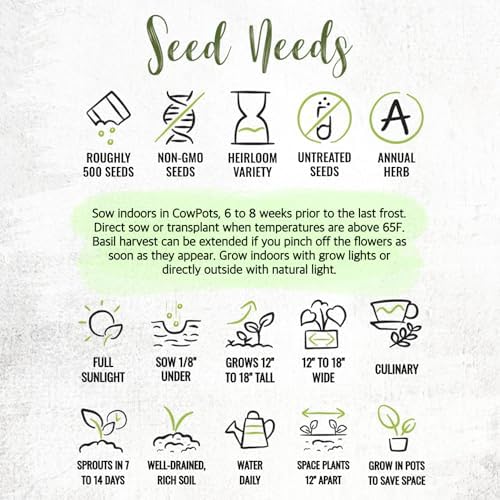 Seed Needs Basil Seeds Duo Pack - Non-GMO & Heirloom Lemon & Lime - Image 7