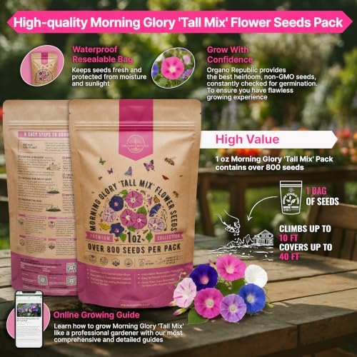 Morning Glory Tall Mix Seeds 1oz Over 800 Non-GMO Heirloom Ipomoea purpurea Seeds for Planting, Annual Flowers in Individual Packet, Planting Home Garden Indoor & Outdoor Gardening - Image 2