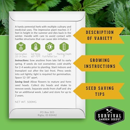 Stinging Nettle Seeds for Planting - 3 Packs - Image 2