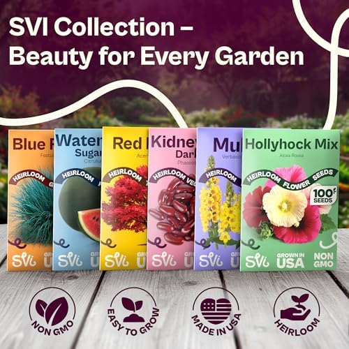 SVI 2500 Gold Ball Turnip Heirloom Vegetable Seeds Brassica rapa Non GMO - Image 7