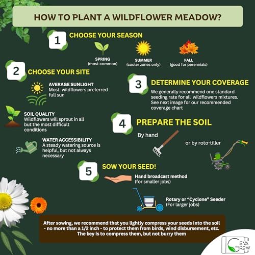 Geva Grow on the Go Seed Shaker - Northwest Wildflower Seeds Regional Mix - Organic, Non-GMO - 100% Pure Seed - 20 Different Wildflowers Seeds of Annual and Perennial, 8oz - Image 6