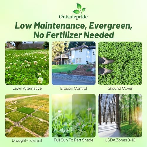 Outsidepride Perennial White Dutch Clover Seed - 2 lbs. Nitrocoated, Inoculated Clover Seeds for Lawn Alternative, Erosion Control, Food Plots, Ground Cover, & Pasture Mixtures in USDA Zones 3-10 - Image 2