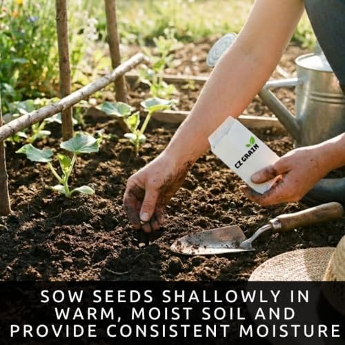 Toothache Plant Seeds for Planting | Medicinal Herb & Edible Flower | 100 - Image 4
