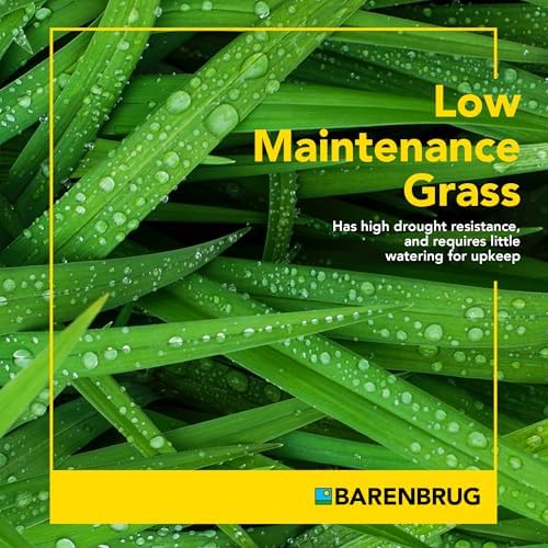 Barenbrug Wonderlawn Quicklawn Grass Seed Mix for Lawn Care and Landscaping, 10 lbs. Bag - Image 5