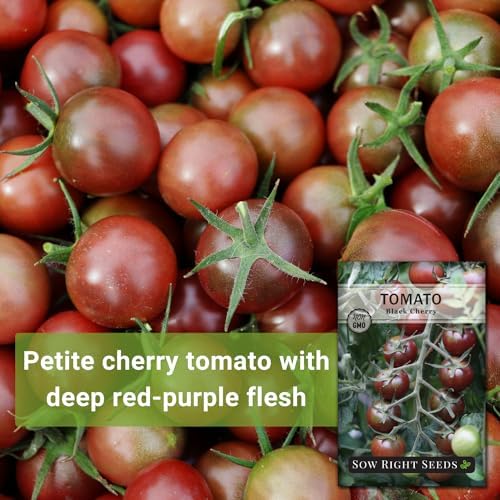 Sow Right Seeds - Black Cherry Tomato Seed for Planting Garden Tomatoes 4pk - Image 3