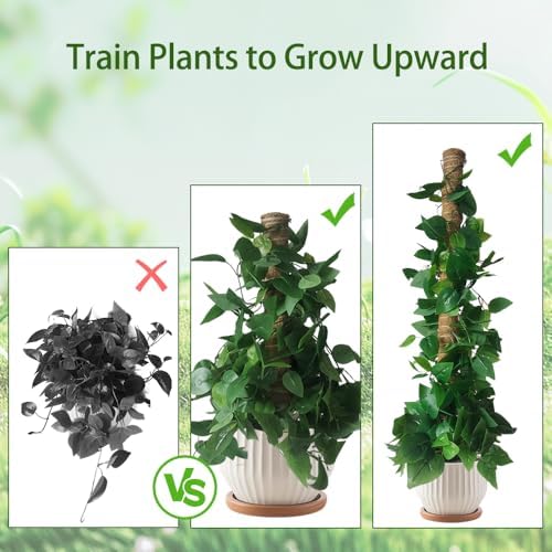Monstera Plant Support Moss Pole, 2 Pack 16 Inch Stackable Coco Coir - Image 2