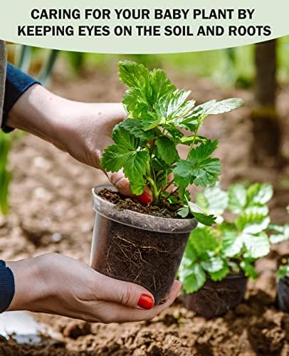 homenote 3/4/5 Inch Clear Nursery Pots with Drainage and 20 Labels (30 Pcs) - Image 3