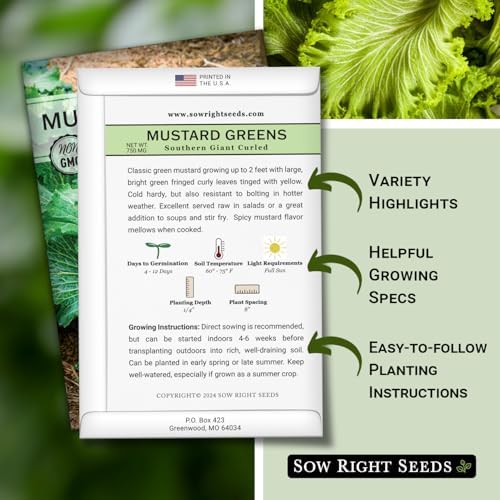 Sow Right Seeds - Southern Giant Curled Mustard Green Seed for Planting - Image 2