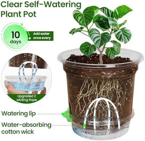 MIXC 16 Pcs 10/8/6.5/5in Self Watering Pots for Indoor Plants with Drainage - Image 2
