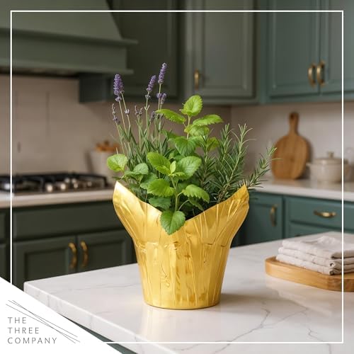 Herb Combo - Sleep Aid, Lavender, Rosemary & Lemon Balm, Aromatic Plant Collection in Deco Cover, 12" Tall by 6" Wide in 1.25 Qt Pot - Image 5