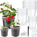 60 Pcs 5/6/7 Inch Clear Nursery Pots with Drainage, Plastic Pots for Plants by YZNlife