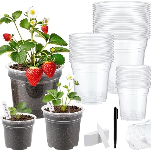 60 Pcs 5/6/7 Inch Clear Nursery Pots with Drainage, Plastic Pots for Plants by YZNlife
