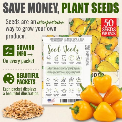 Seed Needs Mini Yellow Bell Pepper Seeds to Plant Vegetables - 20 Packs - Image 3