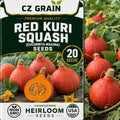 Seeds for Planting, 20 Red Kuri Squash by CZGrain