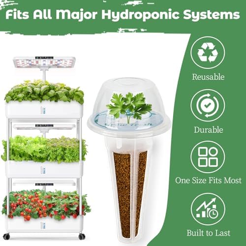 Herb Seed Pods Kit Hydroponic - Refill Pod for All Indoor Garden, 8 Grow Pods with Seeds of Thyme & Plant Food, Compatible with All Hydroponics Growing Systems - Image 3