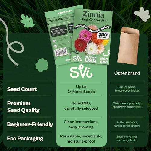 SVI 550 Mix Cactus Zinnia Seeds for 2026 (Zinnia elegans) – Giant Zinnias Super Seed Mix, Giant Flowers Seed Packets Bulk – Cut Flower Seeds to Plant Outside & Indoor Garden Flowers Bed, Containers - Image 6