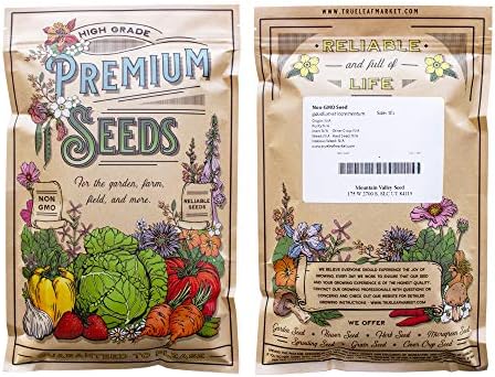 Mountain Valley Seed Co Squash Seeds Winter Cushaw Green Striped Pumpkin 5 - Image 2