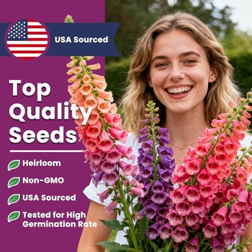 Foxglove Seeds Perennial – Mixed Colors, 200,000+ Seeds Bulk Pack for Easy-to-Grow Home Gardening, Tall Spire Blooms for Garden Borders, Attract Hummingbirds & Bees - Image 2