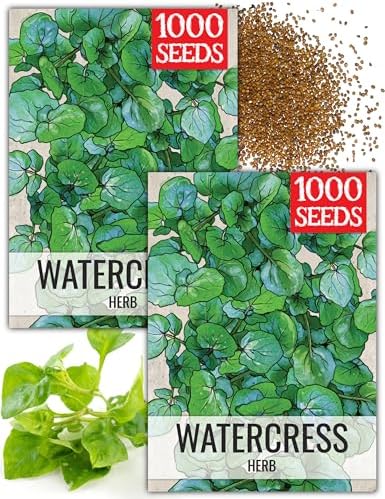 Seed Needs Watercress Seeds to Plant an Herb Garden - 2 Packs by SeedNeeds