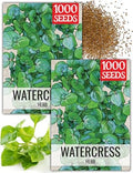 Seed Needs Watercress Seeds to Plant an Herb Garden - 2 Packs by SeedNeeds