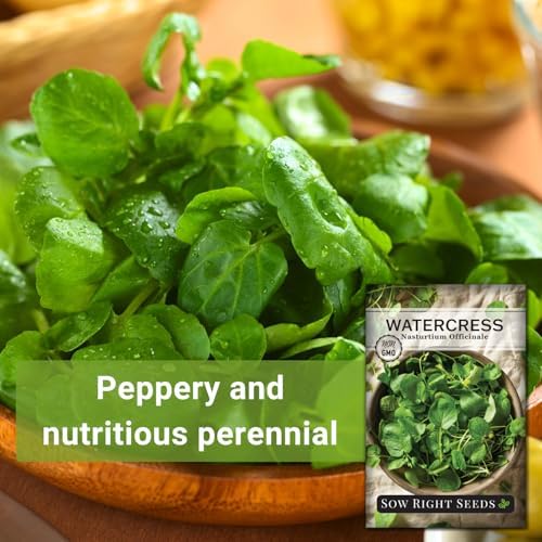 Sow Right Seeds - Watercress Seed for Planting Perennial Water Cress - Image 3